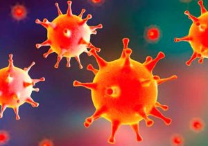 El panorama epidemiológico en el país respecto a la Covid-19 es favorable